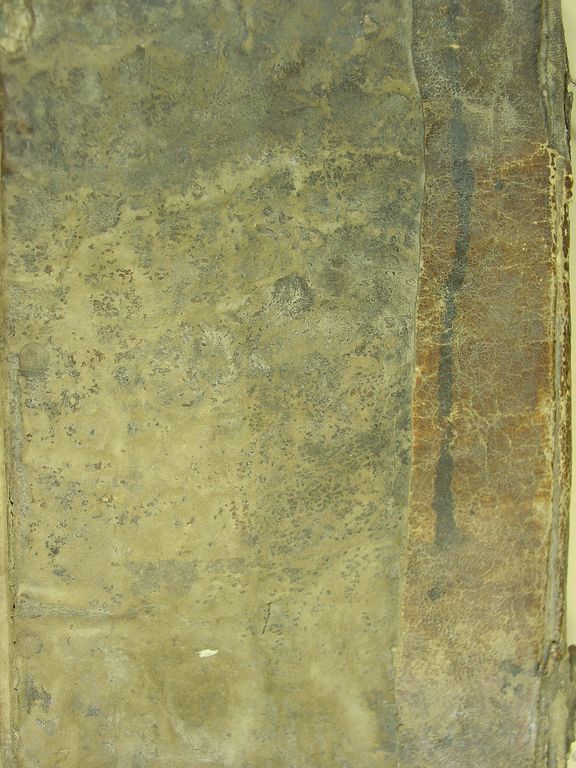 Bild: ./ms092_p002.JPG