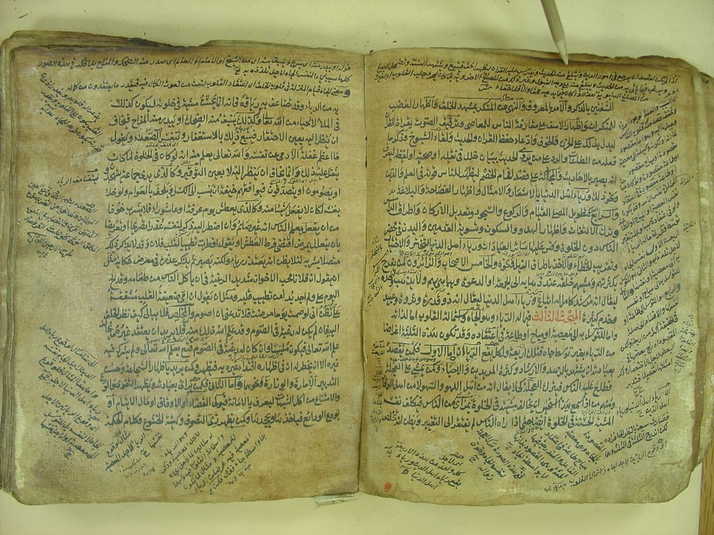 &nbsp;